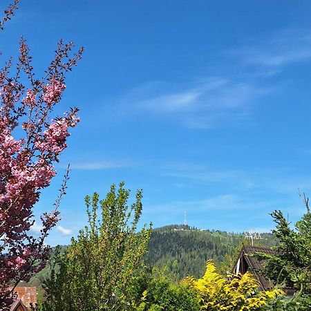 Apartament na brzyzku Zakopane Exteriér fotografie