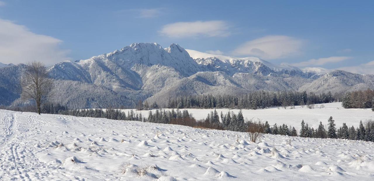 Apartament na brzyzku Zakopane Exteriér fotografie