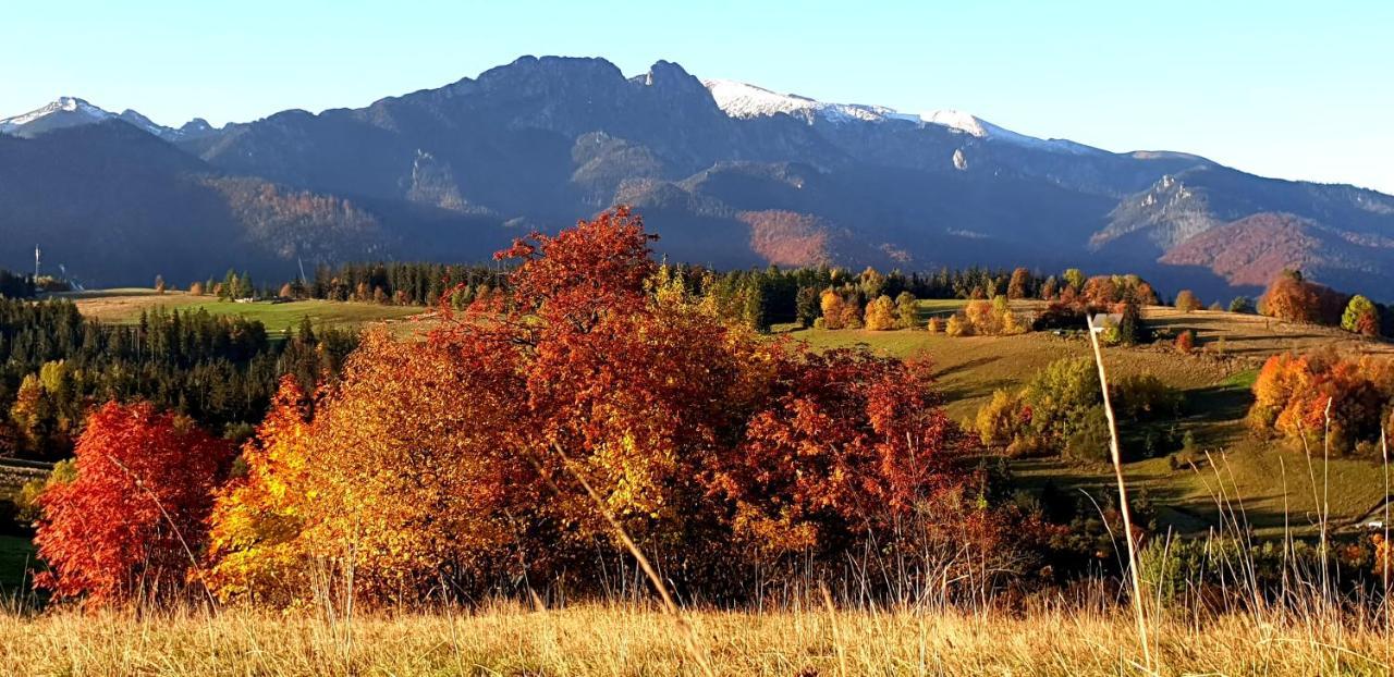 Apartament na brzyzku Zakopane Exteriér fotografie