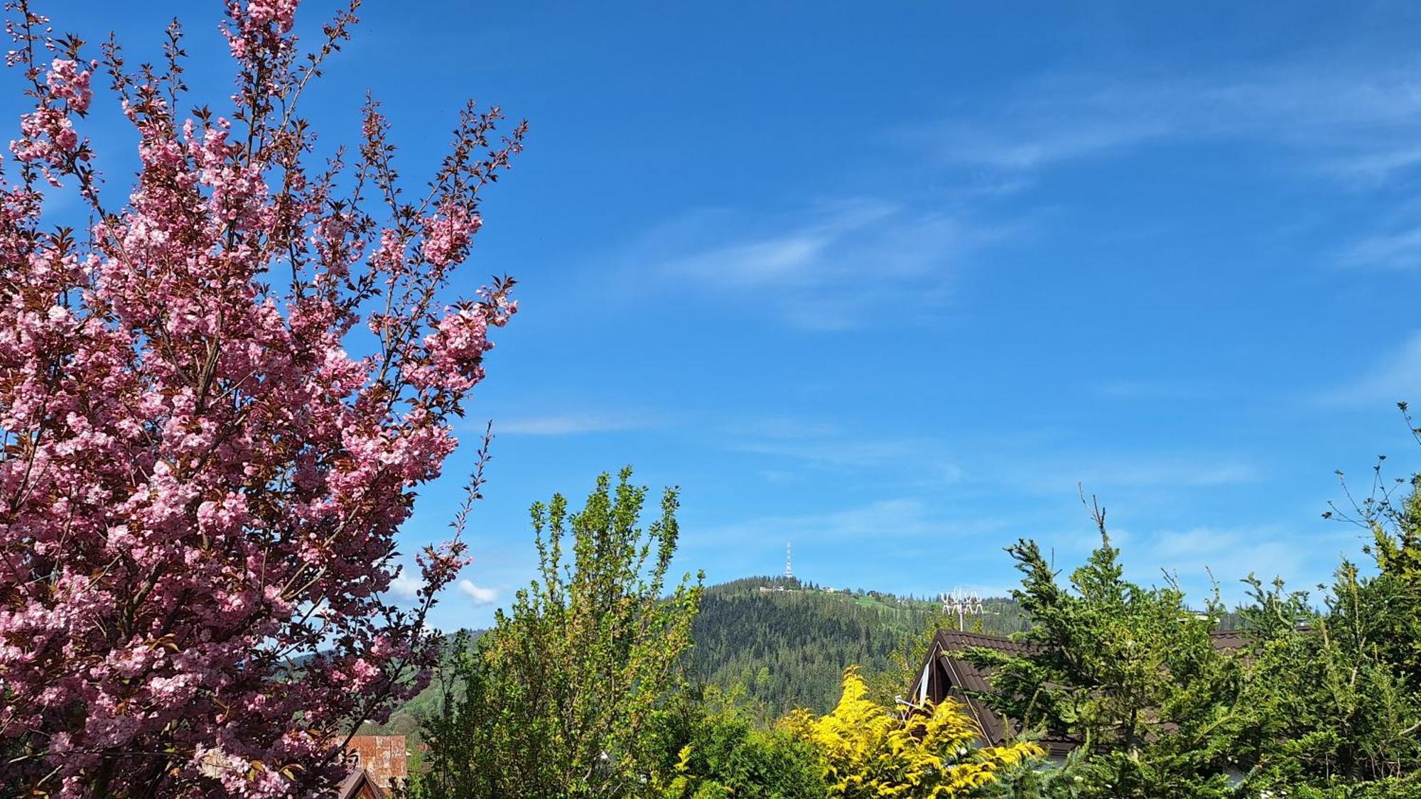 Apartament na brzyzku Zakopane Exteriér fotografie